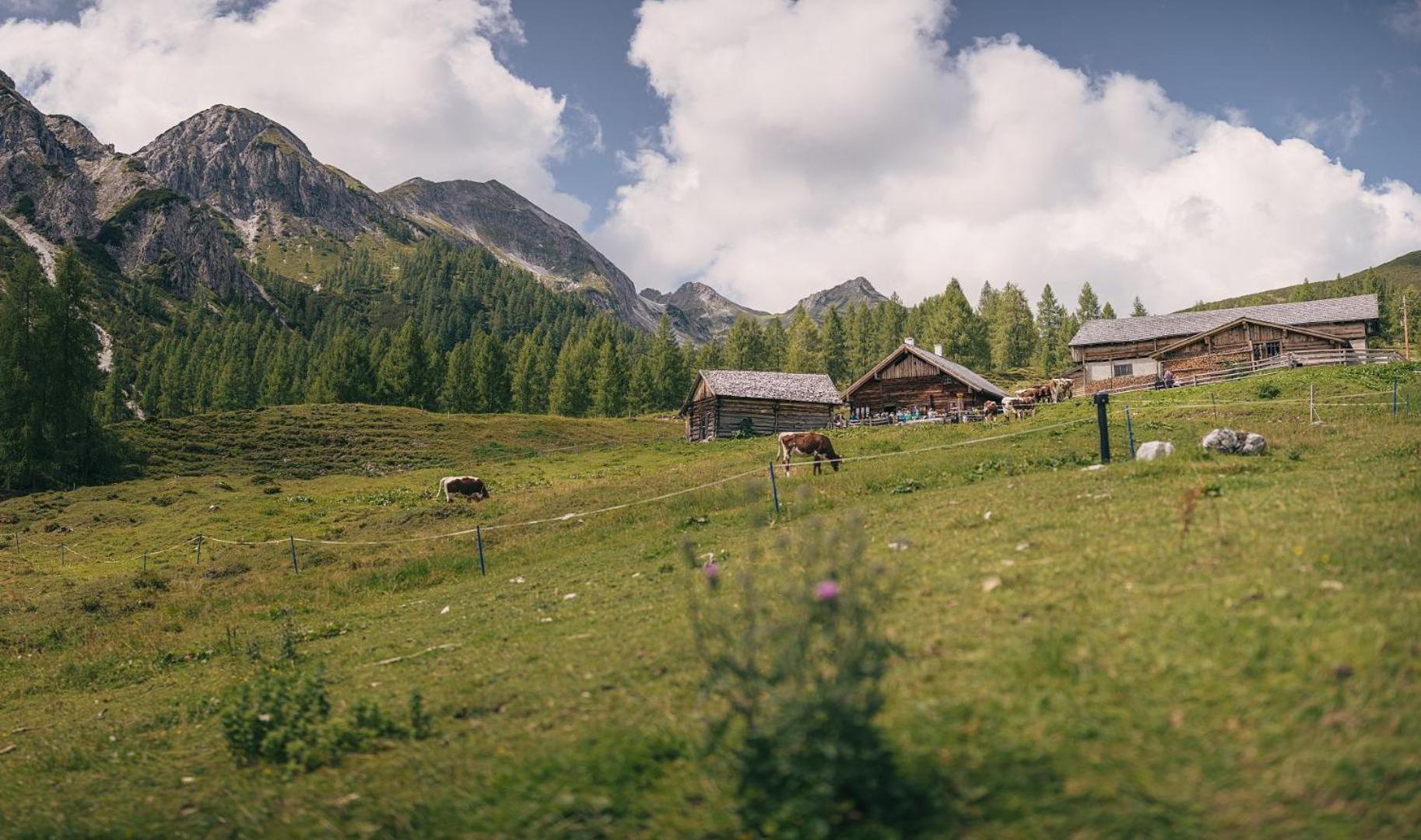Hotel Sportalm Zauchensee Eksteriør bilde