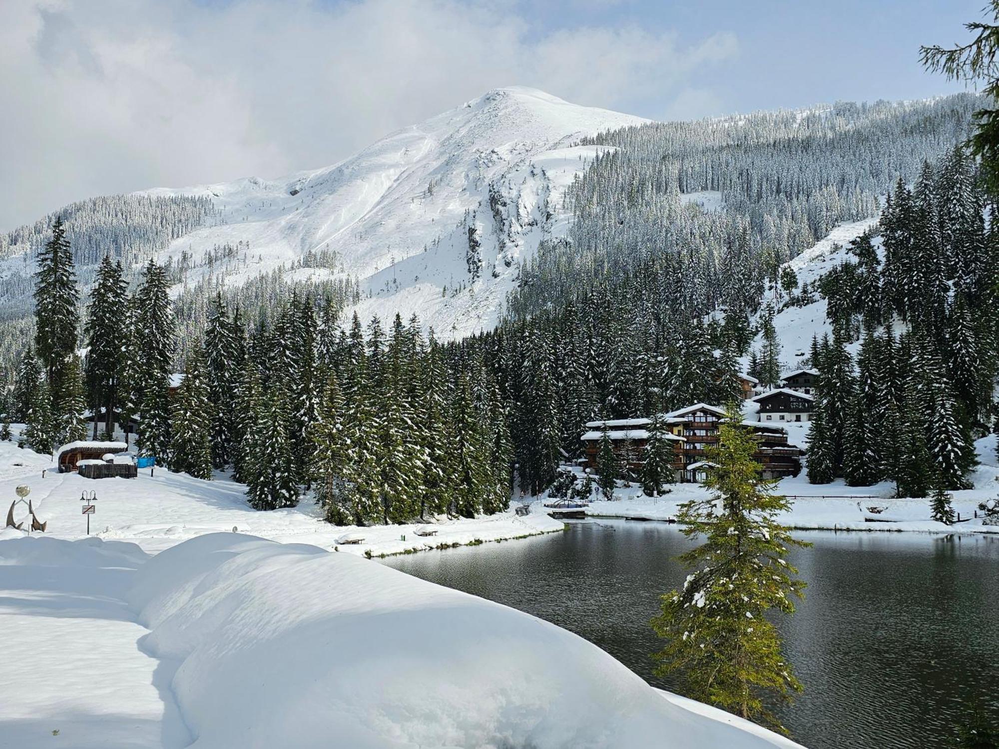 Hotel Sportalm Zauchensee Eksteriør bilde